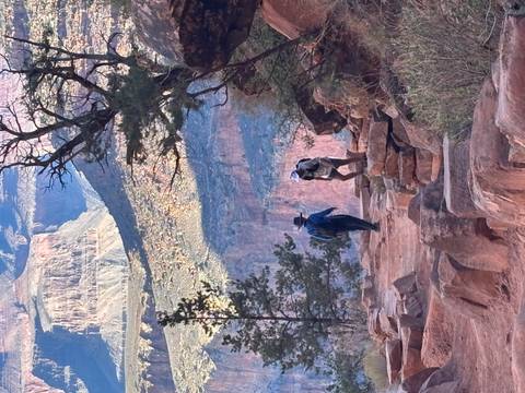 Hikers on a trail within the Grand Canyon.