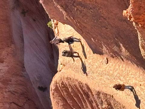 People walking on a trail with rocky canyon walls.