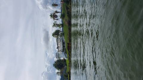 Waterfront house surrounded by palm trees, viewed from across the water.