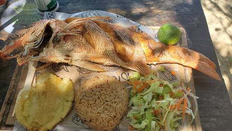       Plate of grilled fish with rice, vegetables, and lime.
  