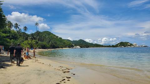       Sandy beach with people by the shore, lush greenery around.
  