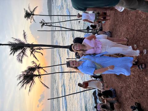Group of people at a viewpoint with palm trees on a cliff.