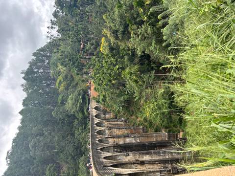 Nine Arch Bridge with lush green surroundings.