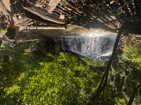       Person photographing a waterfall in a forested area.
  
