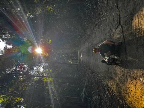       Person with a dog in a forest with sun setting behind them.
  