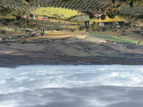 Panoramic view of a hilly countryside landscape with vineyards.