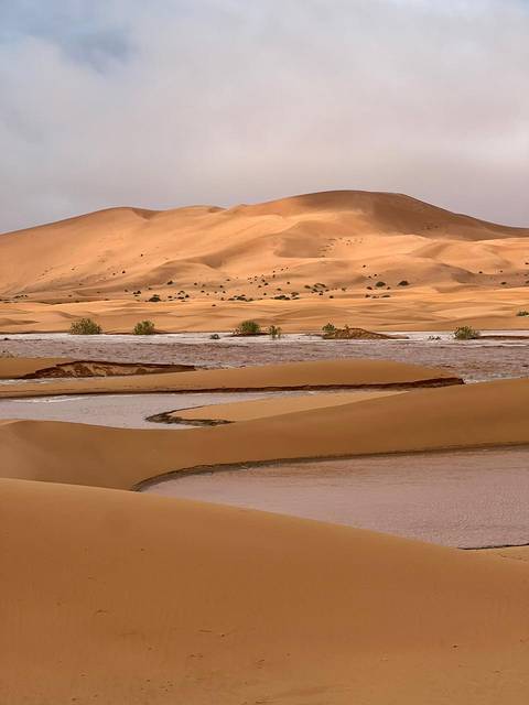 Klantbeoordelingsfoto van Luxe privéreis 4-daags woestijnavontuur van Marrakech naar Merzouga 