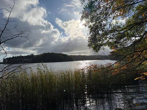 Lakeside view with trees and a cloudy sky.