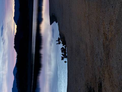Lake at sunset with ducks near the shore.