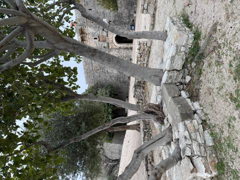 Stone walls and trees in a historical fortress.