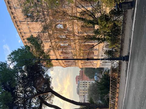 The Colosseum partially seen through trees with a lamp post.