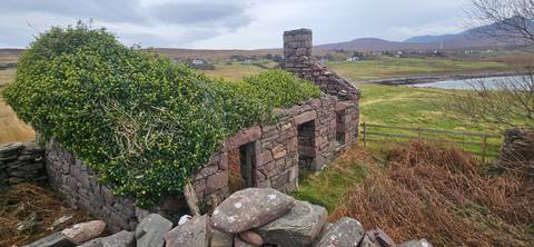       Old stone house partially overtaken by nature.
  