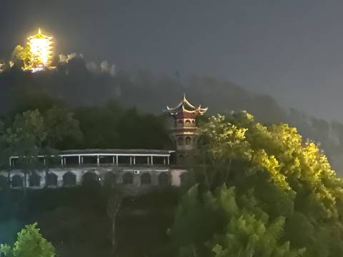       Nighttime shot of a pagoda and trees in the dark.
  