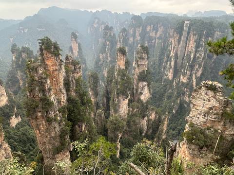 Tall natural rock formations covered with trees.