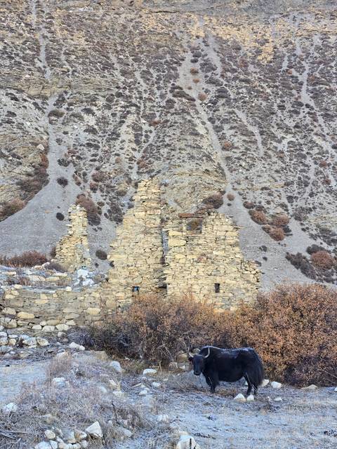 Ruins of stone structures against a barren hilly terrain.