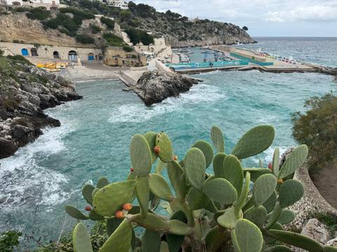 Aerial view of a coastal bay surrounded by rocky cliffs and cacti.