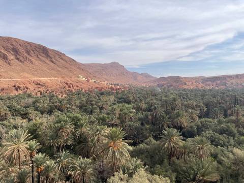       Vast landscape with palm trees and rocky mountains.
  