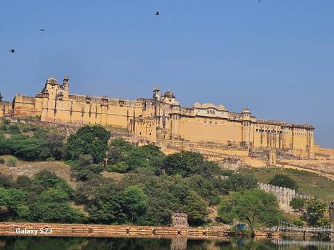       Amber Fort on a hill with trees in the foreground.
  