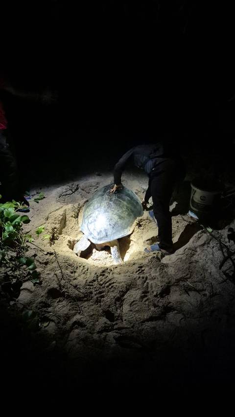       Photo d'avis client sur Aventure au Sabah 
  