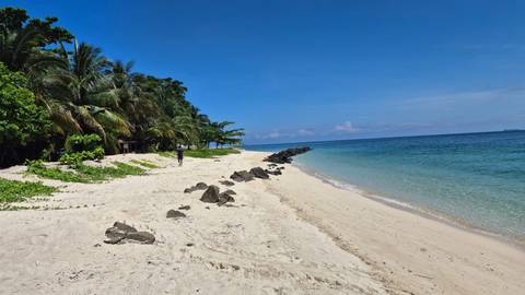       A tranquil beach with white sand and palm trees.
  
