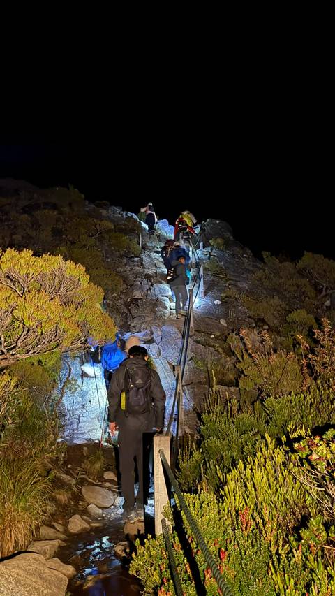 Silhouetted hikers climbing a mountain trail at night.