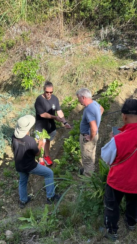 People observing and discussing plants in a garden setting.