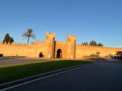 Ancient fort with a gate and palm trees.