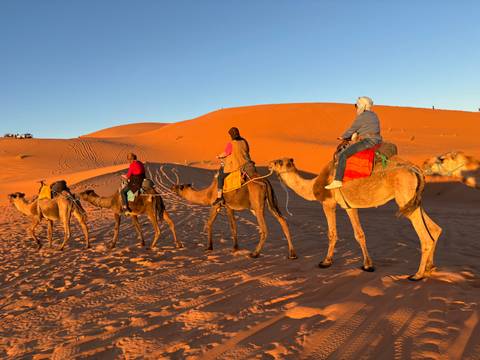      People riding camels in the desert at sunset.
  