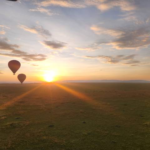       Hot air balloons rising in a wide-open landscape at sunrise
  