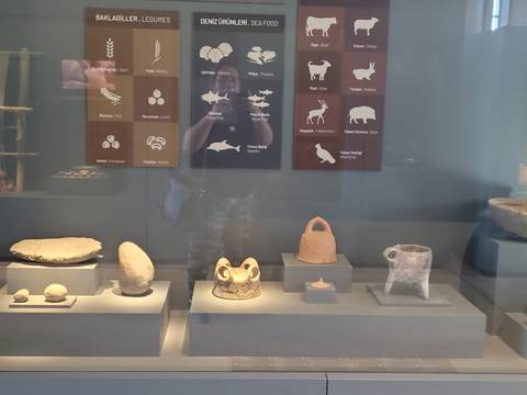       Exhibit of archaeological artifacts with a person’s reflection.
  