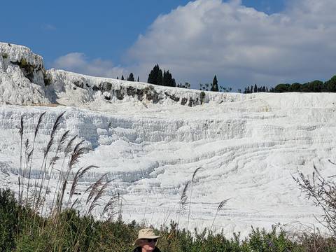       Natural white travertines with some vegetation.
  
