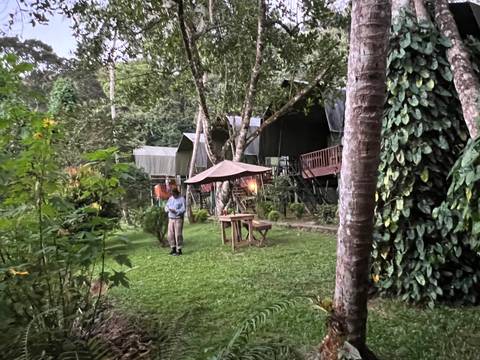 Man standing in a lush forest area with tents.