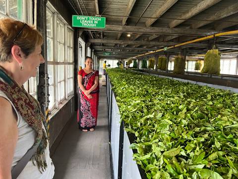 Tea factory interior with women in saris.
