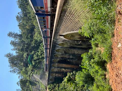 A train on a bridge passing through a lush landscape.