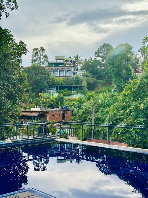       Lush greenery and buildings on a hillside.
  