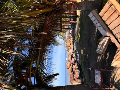       Beach view with palm trees and chairs.
  