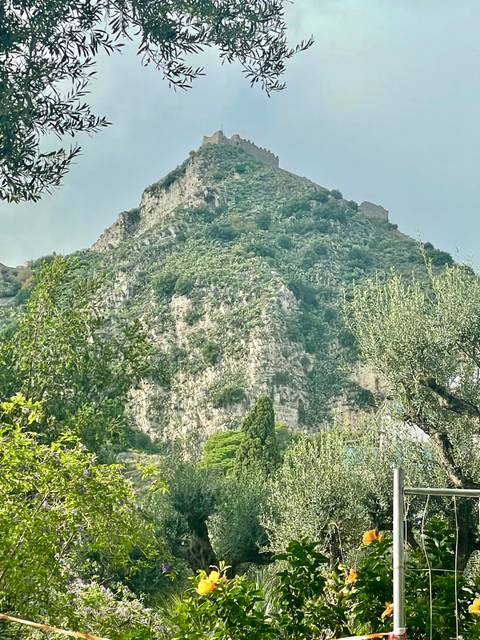 Rocky hill with lush greenery