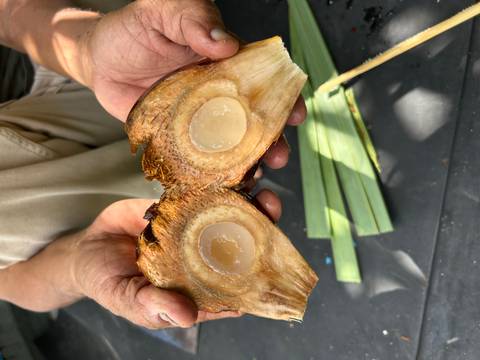       Person holding a split palm fruit showing seeds inside
  