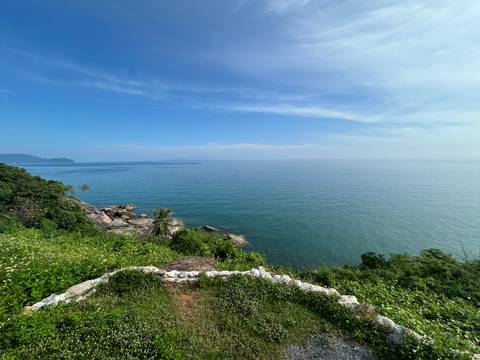       Clear blue ocean view with greenery at the forefront
  