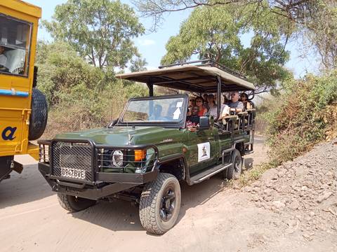       A group of tourists in a safari vehicle on a trail.
  