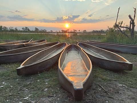       Sunset reflecting off canoes lined up by a river.
  