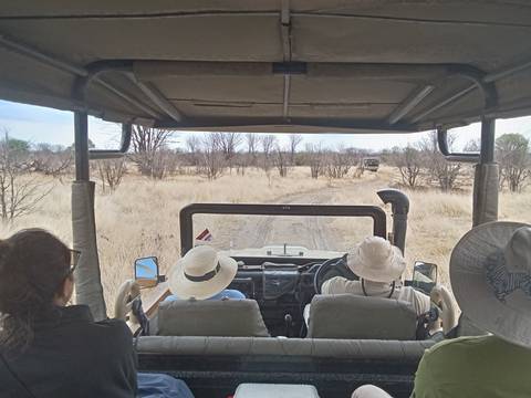       Inside view of a safari vehicle driving through a park.
  
