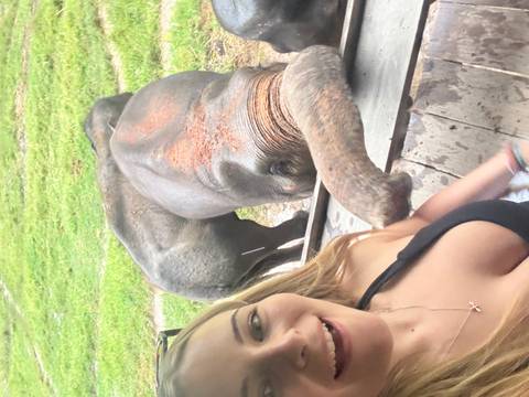 Person taking a selfie with elephants in the background.