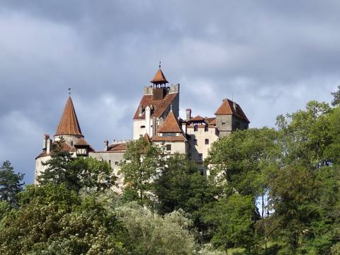       Medieval Bran Castle surrounded by trees.
  