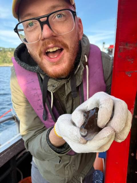Person showing a catch from fishing or diving activity.