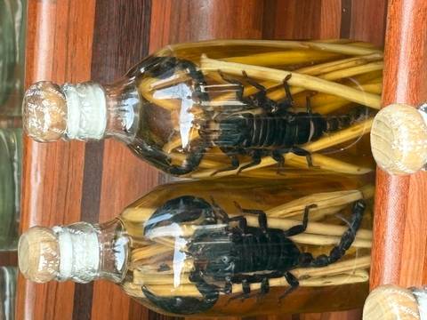       Bottles with scorpions preserved inside.
  