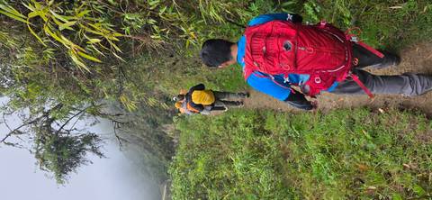       People hiking on a trail in a forested area.
  