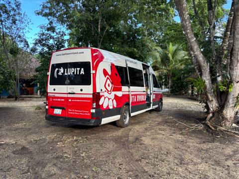 A red and white van parked in a forest area.