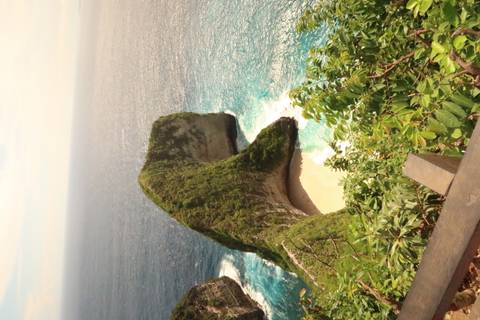       Coastal cliff with lush vegetation and beach below.
  