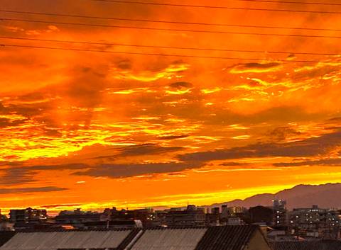       Vibrant orange sunset over a cityscape.
  